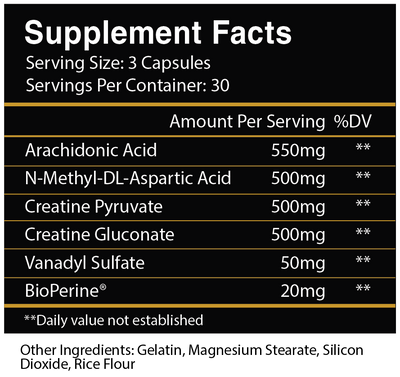 WARPATH: Workout Maximizer* [Back in stock!]